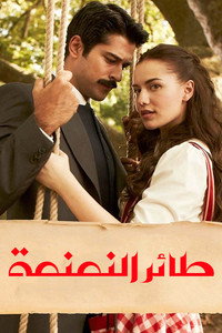 Постер сериала «Королёк – птичка певчая (2013-2014)» — (2 из 6)