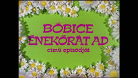Bóbice énekórát ad