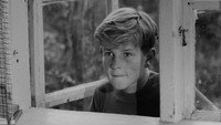 «Детектив Расмус (1953)» — обои к фильму #2