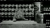 «The Grocery Clerk (1919)» — обои к фильму #1