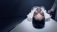 «Insânia (2021)» — обои к сериалу #1