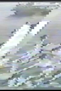 Diversion Poster