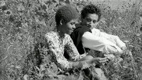 «Оружие деревьев (1961)» — обои к фильму #2