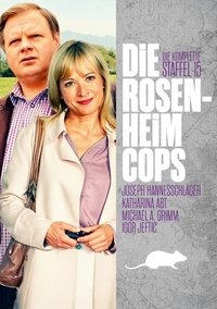 Season 15 Poster