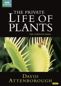 Poster de The Private Life of Plants