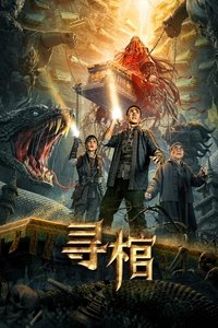 Poster de 寻棺