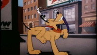 «A Feather in His Collar (1946)» — обои к мультфильму #1