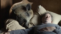 «Моя старушка (2014)» — обои к фильму #6