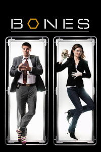 Постер сериала «Кости (2005 - 2017)» — (41 из 181)