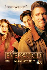 Постер сериала «Любовь вдовца (2002-2006)» — (9 из 34)
