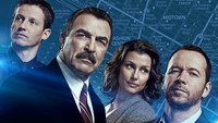 «Голубая кровь (2010 - 2024)» — обои к сериалу #3