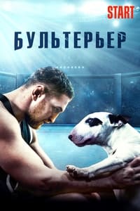 Бультерьер (2022)