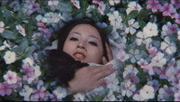 «Yoru No Kayo: Namida Goi (1973)» — обои к фильму #10
