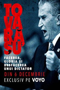 Poster de Tovarășu': facerea, gloria și desfacerea unui dictator