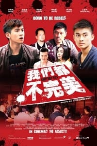 我们都不完美 (2012)