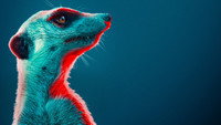 «Meerkat Manor: Rise of the Dynasty (2021)» — обои к сериалу #2