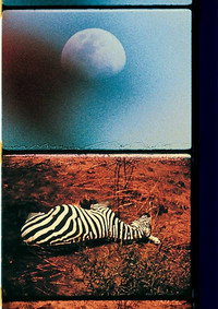 Постер фильма «Африканская поездка (1966)» — (2 из 3)