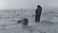 «Потерянные (2014)» — обои к фильму #1