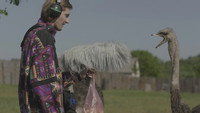 Обои к фильму «Мои мысли тихие (2019)» — (17 из 32)
