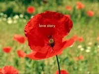 Minuscule: The Private Life of Insects Season 1 Episode 2