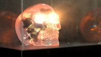 «Adventures of the Crystal Skull (2022)» — обои к фильму #3