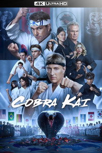 Постер сериала «Кобра Кай (2018-2025)» — (25 из 146)