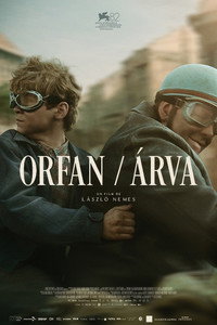 Árva