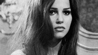 «Аллея кошек (1966)» — обои к фильму #1