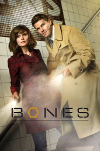 Постер сериала «Кости (2005 - 2017)» — (9 из 181)