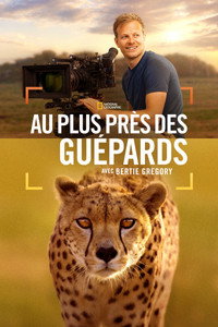 Au plus près des guépards avec Bertie Gregory