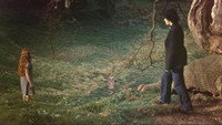 Harry Potter et le Prince de Sang Mêlé
