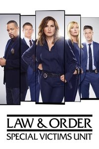 Watch Law & Order: Special Victims Unit all episodes and seasons full hd online now