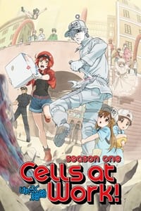 Cover of the Season 1 of Cells at Work!