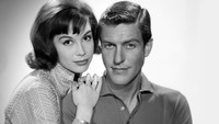 «Шоу Дика Ван Дайка (1961-1966)» — обои к сериалу #9