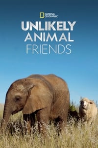 copertina serie tv Unlikely+Animal+Friends 2012
