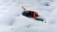 Footprints in the Snow