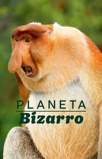 Planeta Bizarro S01E12