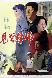 见习律师 (1982)