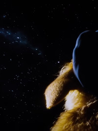 Imagem do Filme Colors and Shapes