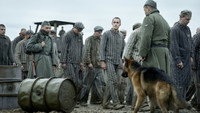 Обои к сериалу «Татуировщик из Освенцима (2024)» — (19 из 31)