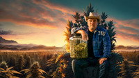 «Growing Belushi (2020)» — обои к сериалу #2