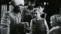 «Доброе утро, слон (1952)» — обои к фильму #1