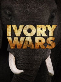 Постер сериала «Войны за слоновую кость (2013)» — (1 из 1)