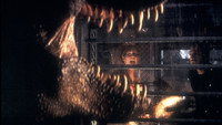 Обои к фильму «Парк Юрского периода 2: Затерянный мир (1997)» — (48 из 162)