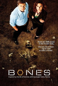 Постер сериала «Кости (2005 - 2017)» — (69 из 181)