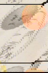 Traceless Traces