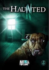 Poster de The Haunted