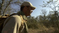 South Africa: Safari Survival