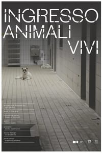 Ingresso animali vivi