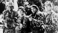 «Приключения героев-растяп в джунглях (1988)» — обои к фильму #1